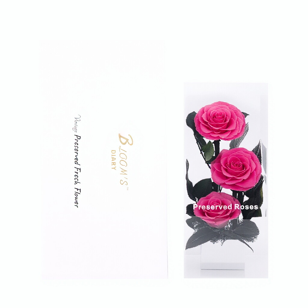 Festival Gift Box — Preserved Rose & Acrylic Ornament | Birthday Gift, Festive Blessing, or Proposal Gift