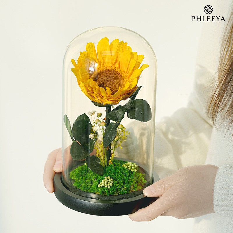 Preserved Sunflower Glass Gift Box - Perfect for Mother's Day Gifts to Elders