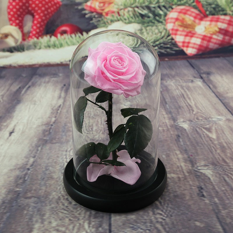 Preserved Flower Glass Dome — "The Little Prince" Rose | Valentine's Day Gift: Light Luxury Preserved Rose | Luxurious, Timeless Rose Gift Box
