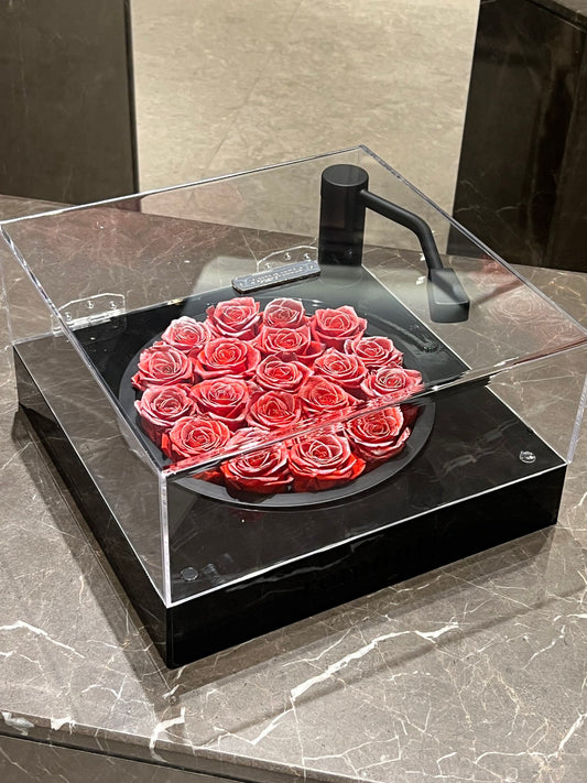 Luxury Glass Dome Bluetooth Speaker with Eternal Rose - Proposal Gift for Girlfriend