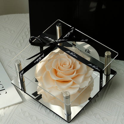 Valentine's Day Gift: Acrylic Heart-Shaped Preserved Rose with Mirror-Finish Heart Accent