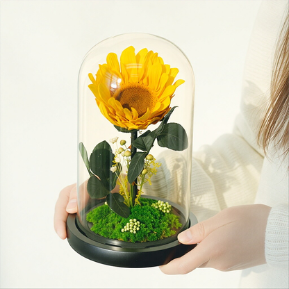 Creative Preserved Flower Art Ornament: Sunflower in Glass Dome Gift Box — An Artistic Choice for Gifting Elders on Mother's Day