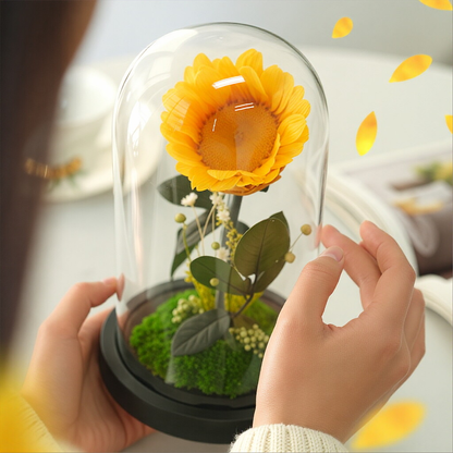 Creative Preserved Flower Art Ornament: Sunflower in Glass Dome Gift Box — An Artistic Choice for Gifting Elders on Mother's Day