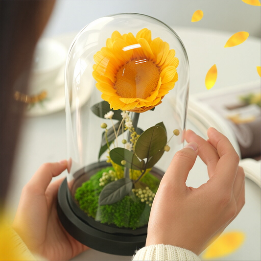 Creative Preserved Flower Art Ornament: Sunflower in Glass Dome Gift Box — An Artistic Choice for Gifting Elders on Mother's Day