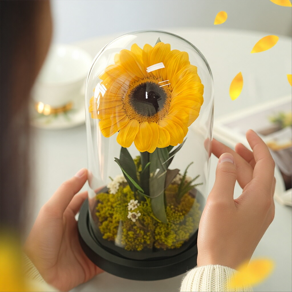 Creative Preserved Flower Art Ornament: Sunflower in Glass Dome Gift Box — An Artistic Choice for Gifting Elders on Mother's Day