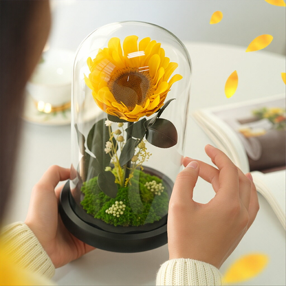 Creative Preserved Flower Art Ornament: Sunflower in Glass Dome Gift Box — An Artistic Choice for Gifting Elders on Mother's Day