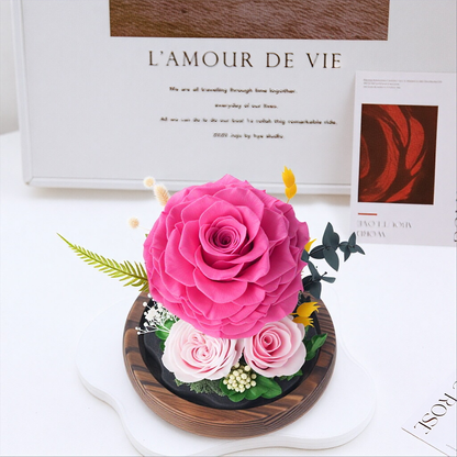 Preserved Rose Glass Dome Art Gift Box — Valentine's Day Artistic Ornament & Decor