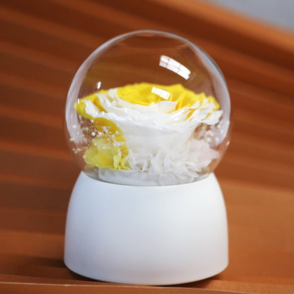 Creative Preserved Flower Music Box — Artistic Business Gift, Keepsake, and Holiday Present