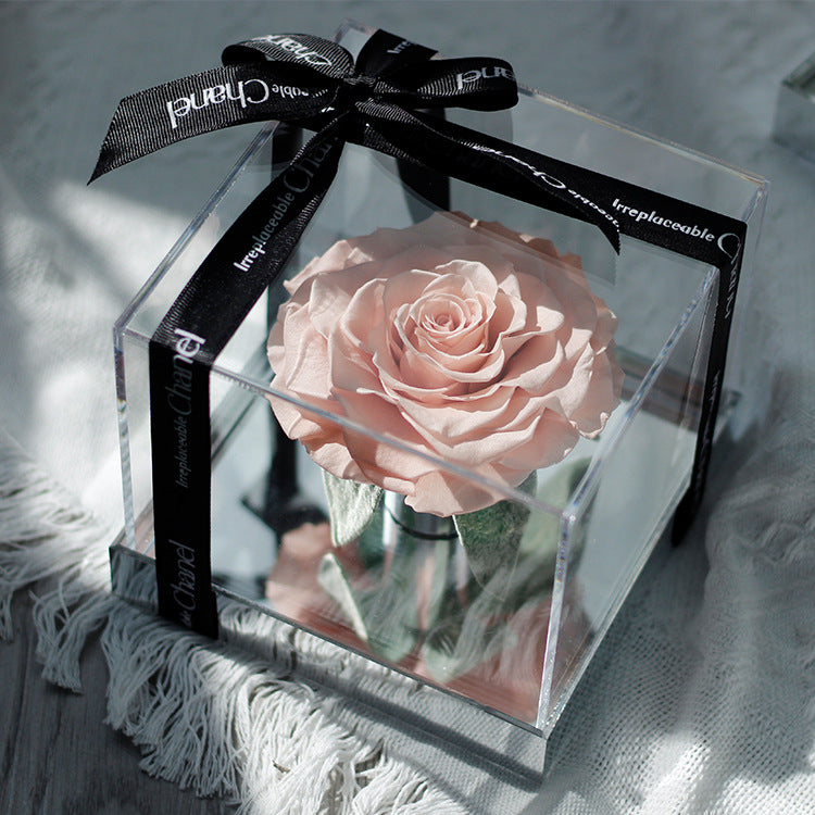 Eternal Rose — Finished Acrylic-Encased Giant Real Rose — Valentine's Day Gift for Your Girlfriend