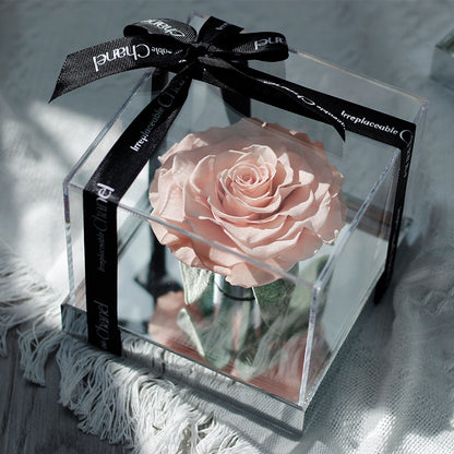 Eternal Rose — Finished Acrylic-Encased Giant Real Rose — Valentine's Day Gift for Your Girlfriend