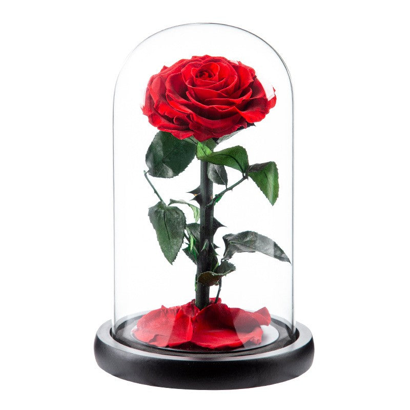 Preserved Flower Glass Dome — "The Little Prince" Rose | Valentine's Day Gift: Light Luxury Preserved Rose | Luxurious, Timeless Rose Gift Box