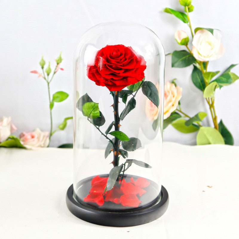 Creative 3-Preserved-Flower Bouquet Gift Box with Glass Dome — A Birthday Gift for Your Wife or Girlfriend