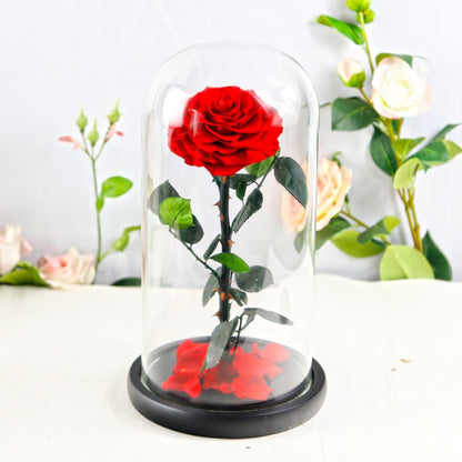 Creative 3-Preserved-Flower Bouquet Gift Box with Glass Dome — A Birthday Gift for Your Wife or Girlfriend