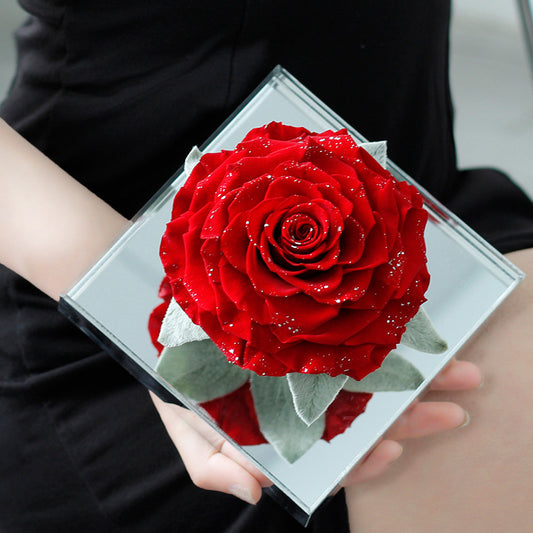 Eternal Rose — Finished Acrylic-Encased Giant Real Rose — Valentine's Day Gift for Your Girlfriend