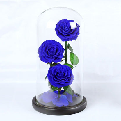 Creative 3-Preserved-Flower Bouquet Gift Box with Glass Dome — A Birthday Gift for Your Wife or Girlfriend