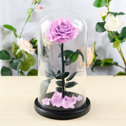 Creative 3-Preserved-Flower Bouquet Gift Box with Glass Dome — A Birthday Gift for Your Wife or Girlfriend