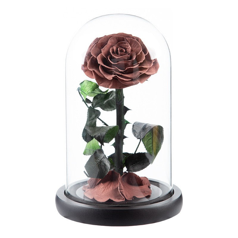 Preserved Flower Glass Dome — "The Little Prince" Rose | Valentine's Day Gift: Light Luxury Preserved Rose | Luxurious, Timeless Rose Gift Box