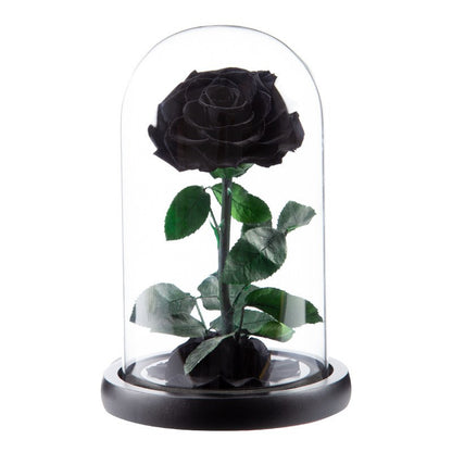 Preserved Flower Glass Dome — "The Little Prince" Rose | Valentine's Day Gift: Light Luxury Preserved Rose | Luxurious, Timeless Rose Gift Box
