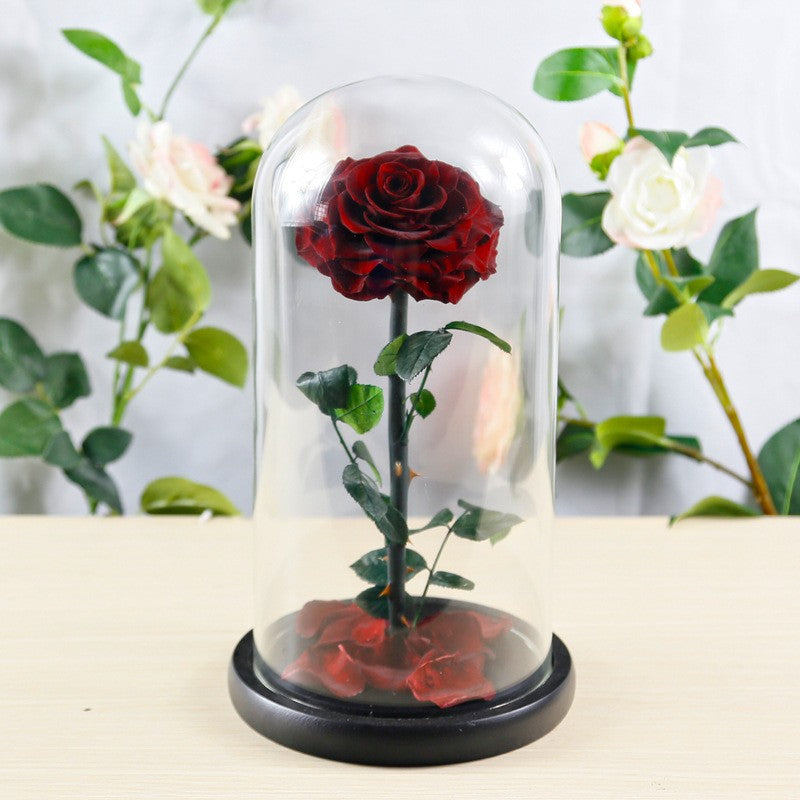 Creative 3-Preserved-Flower Bouquet Gift Box with Glass Dome — A Birthday Gift for Your Wife or Girlfriend