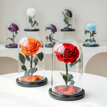 Preserved Flower Glass Dome — "The Little Prince" Rose | Valentine's Day Gift: Light Luxury Preserved Rose | Luxurious, Timeless Rose Gift Box