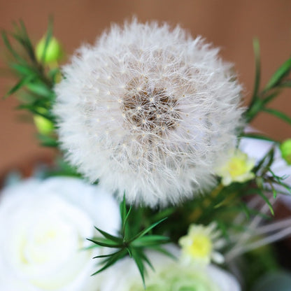 Preserved Dandelion in a Glass Dome — A Light-Luxury, Artistic Surprise Gift for Valentine's Day.