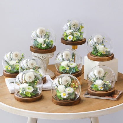 Preserved Dandelion in a Glass Dome — A Light-Luxury, Artistic Surprise Gift for Valentine's Day.