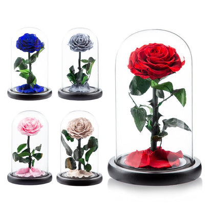 Preserved Flower Glass Dome — "The Little Prince" Rose | Valentine's Day Gift: Light Luxury Preserved Rose | Luxurious, Timeless Rose Gift Box