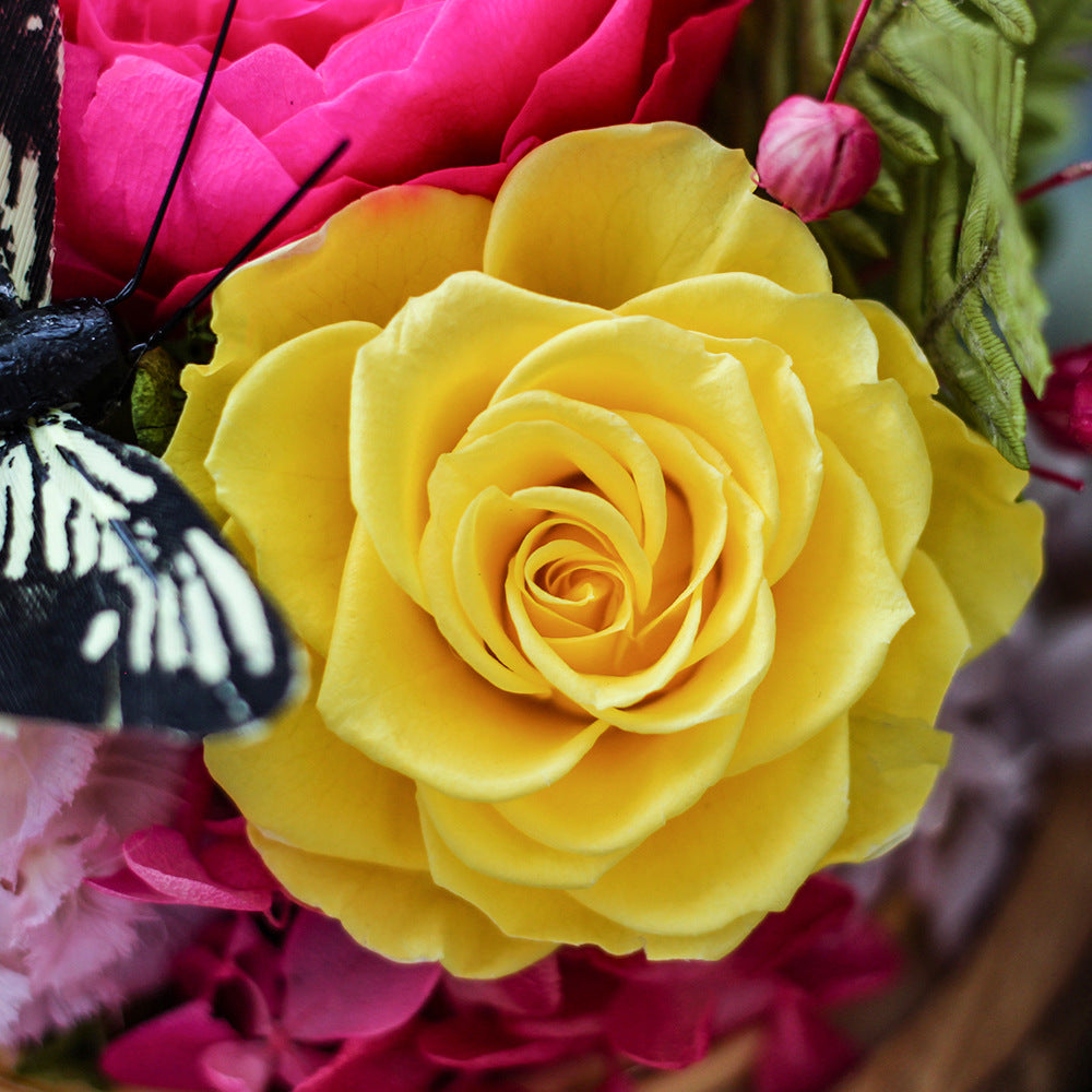 Glass-Domed Preserved Rose — The perfect Mother's Day gift for Mom, and a cherished keepsake for a dear friend. A Creative Preserved Rose Gift Box.