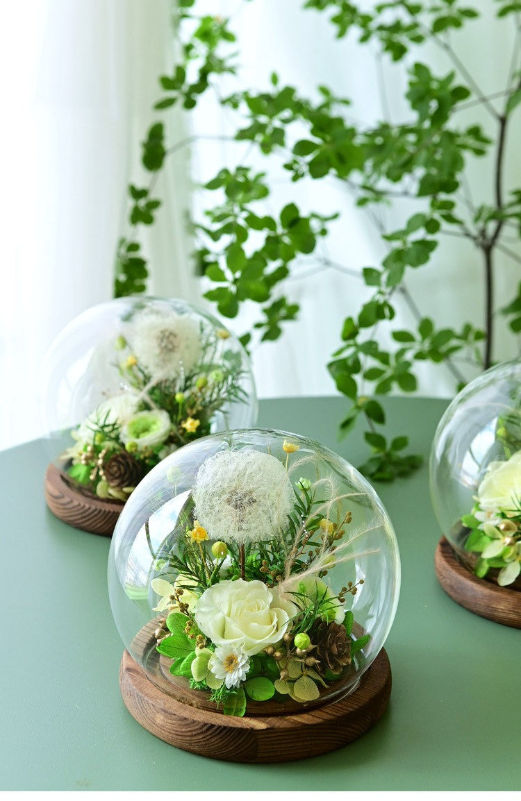 Preserved dandelion glass dome - a Valentine's Day gift that will never wither.