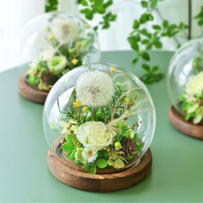 Preserved Dandelion in a Glass Dome — A Light-Luxury, Artistic Surprise Gift for Valentine's Day.
