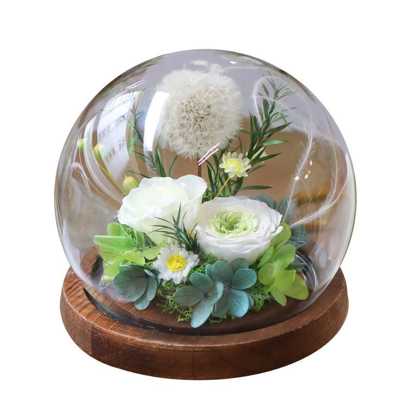 Preserved dandelion glass dome - a Valentine's Day gift that will never wither.