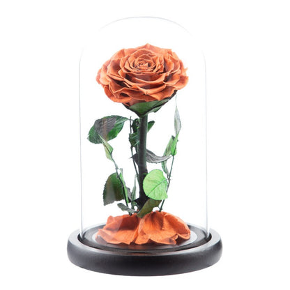 Preserved Flower Glass Dome — "The Little Prince" Rose | Valentine's Day Gift: Light Luxury Preserved Rose | Luxurious, Timeless Rose Gift Box