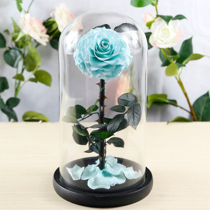 Creative 3-Preserved-Flower Bouquet Gift Box with Glass Dome — A Birthday Gift for Your Wife or Girlfriend
