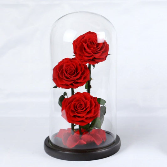 Preserved roses in a glass dome, a high-end Valentine's Day or Christmas gift.