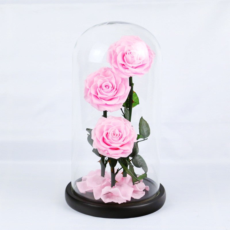 Creative 3-Preserved-Flower Bouquet Gift Box with Glass Dome — A Birthday Gift for Your Wife or Girlfriend