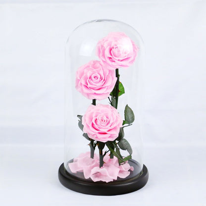 Creative 3-Preserved-Flower Bouquet Gift Box with Glass Dome — A Birthday Gift for Your Wife or Girlfriend