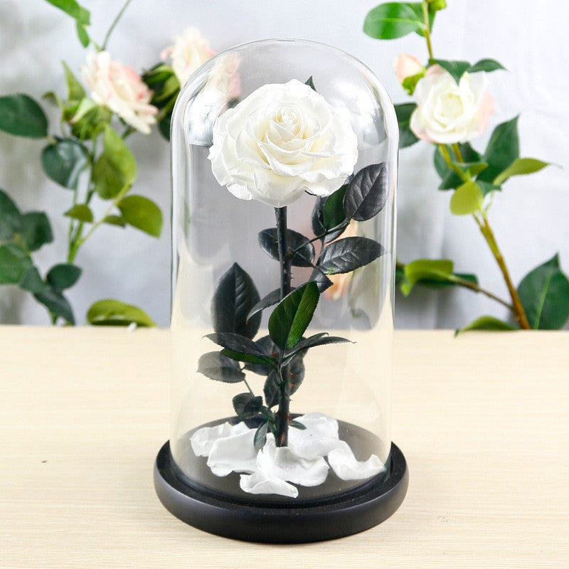 Creative 3-Preserved-Flower Bouquet Gift Box with Glass Dome — A Birthday Gift for Your Wife or Girlfriend