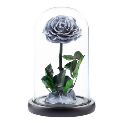 Preserved Flower Glass Dome — "The Little Prince" Rose | Valentine's Day Gift: Light Luxury Preserved Rose | Luxurious, Timeless Rose Gift Box