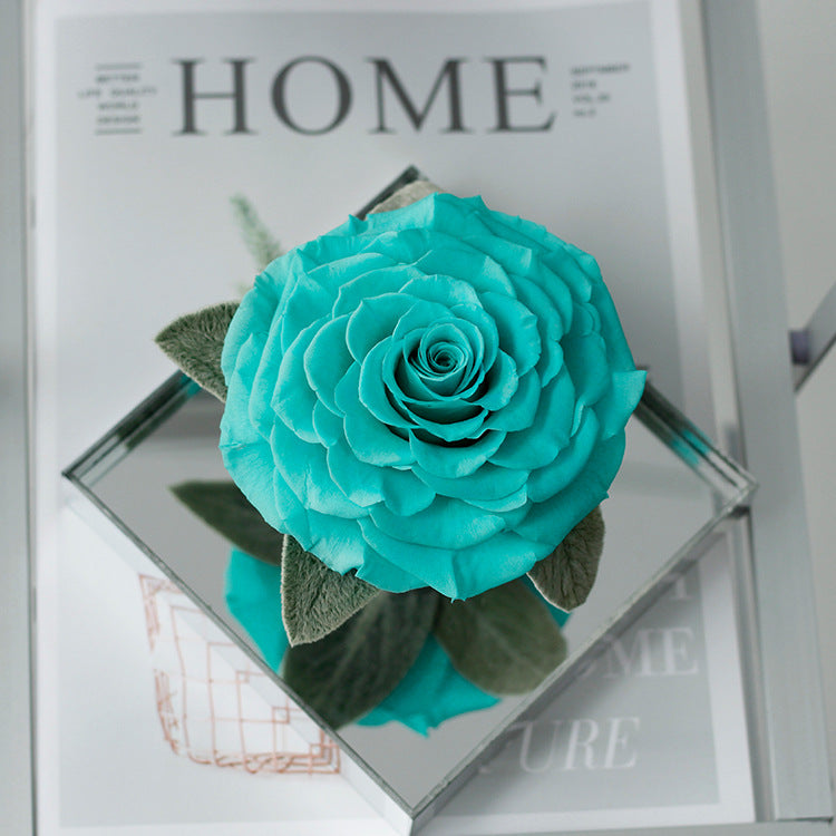 Eternal Rose — Finished Acrylic-Encased Giant Real Rose — Valentine's Day Gift for Your Girlfriend