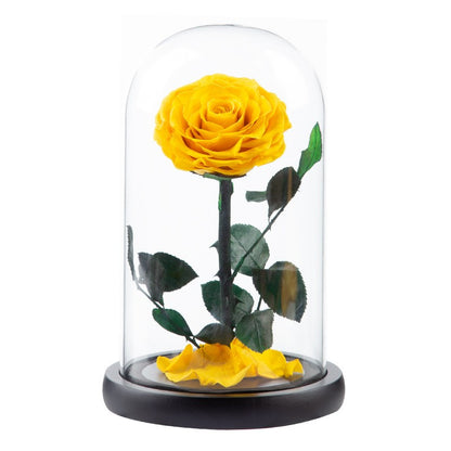 Preserved Flower Glass Dome — "The Little Prince" Rose | Valentine's Day Gift: Light Luxury Preserved Rose | Luxurious, Timeless Rose Gift Box
