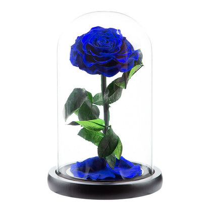 Preserved Flower Glass Dome — "The Little Prince" Rose | Valentine's Day Gift: Light Luxury Preserved Rose | Luxurious, Timeless Rose Gift Box