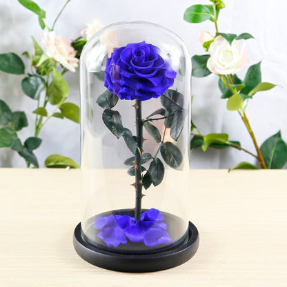 Creative 3-Preserved-Flower Bouquet Gift Box with Glass Dome — A Birthday Gift for Your Wife or Girlfriend