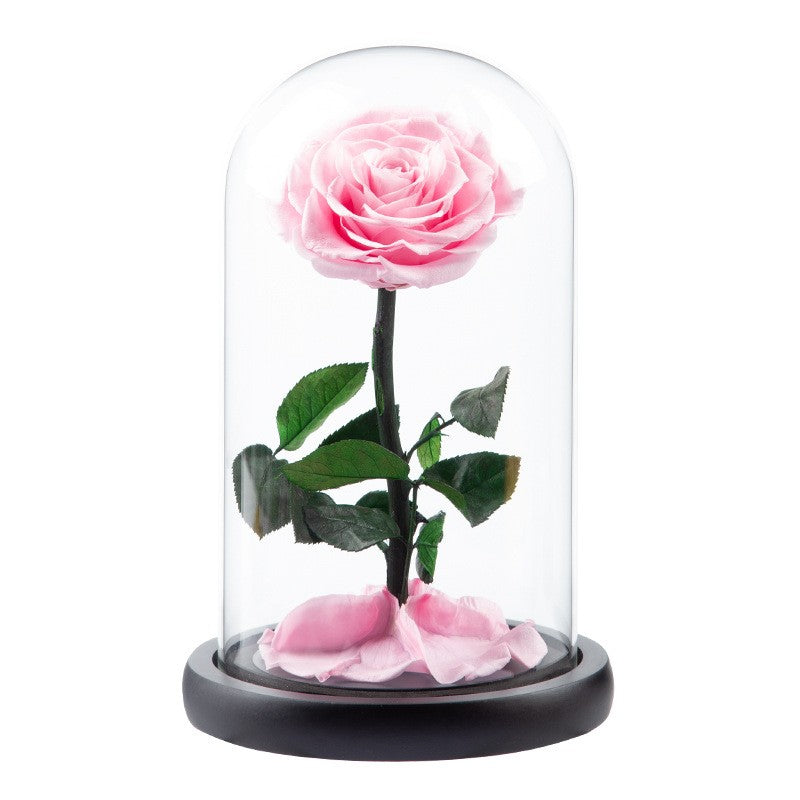 Preserved Flower Glass Dome — "The Little Prince" Rose | Valentine's Day Gift: Light Luxury Preserved Rose | Luxurious, Timeless Rose Gift Box