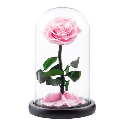 Preserved Flower Glass Dome — "The Little Prince" Rose | Valentine's Day Gift: Light Luxury Preserved Rose | Luxurious, Timeless Rose Gift Box