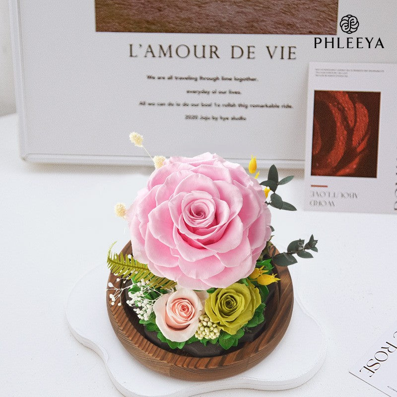 Preserved Rose Cosmic Sphere Glass Dome Gift Valentine's Day Ornament Night Light