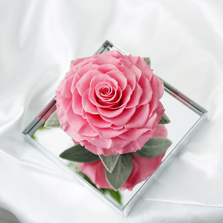 Eternal Rose — Finished Acrylic-Encased Giant Real Rose — Valentine's Day Gift for Your Girlfriend