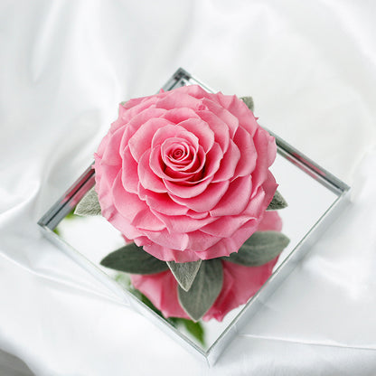 Eternal Rose — Finished Acrylic-Encased Giant Real Rose — Valentine's Day Gift for Your Girlfriend