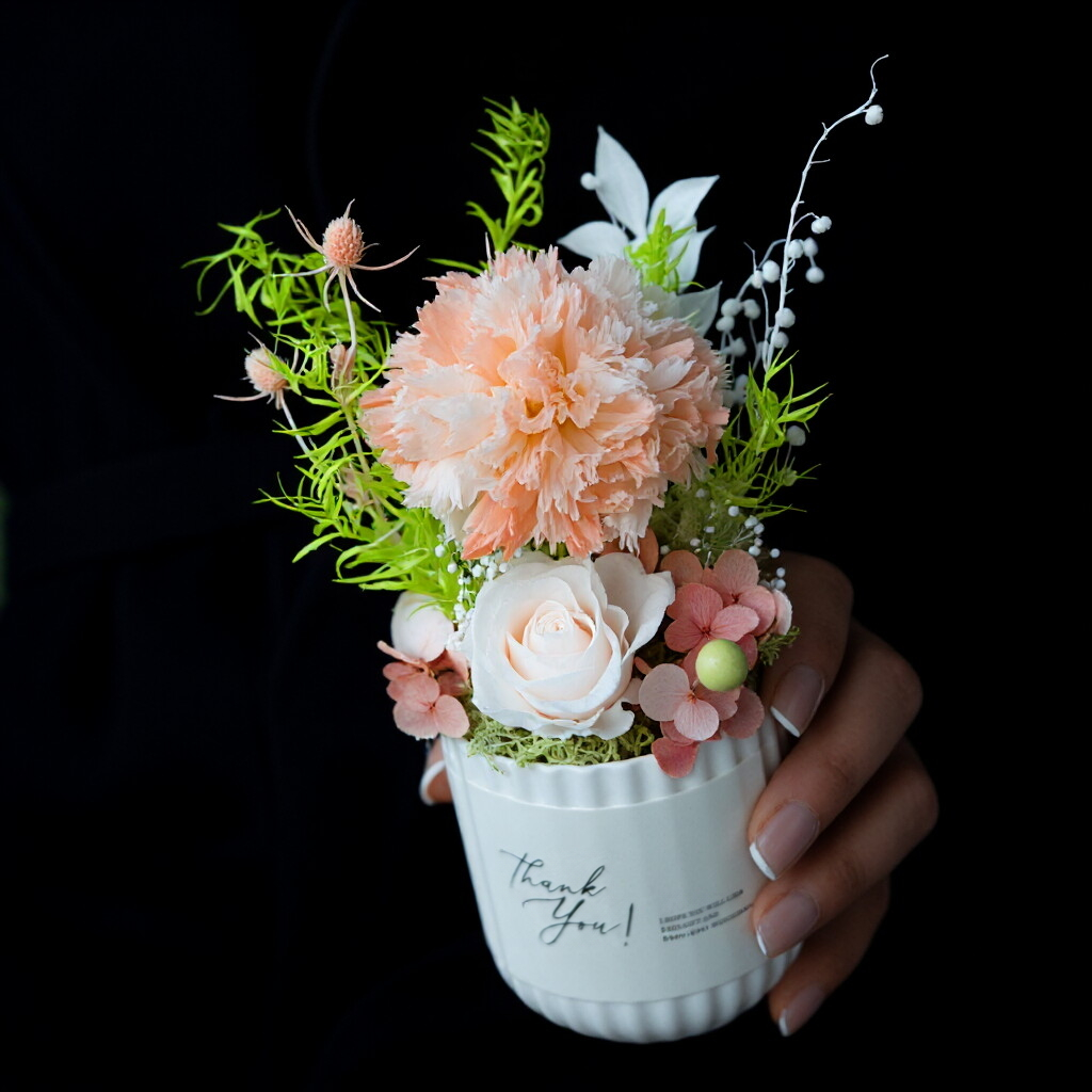 Preserved Austin Rose in Mini Pot - Elegant Desktop Decoration & Gift Idea