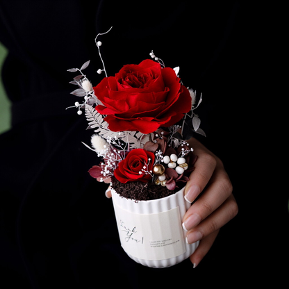 Preserved Austin Rose in Mini Pot - Elegant Desktop Decoration & Gift Idea