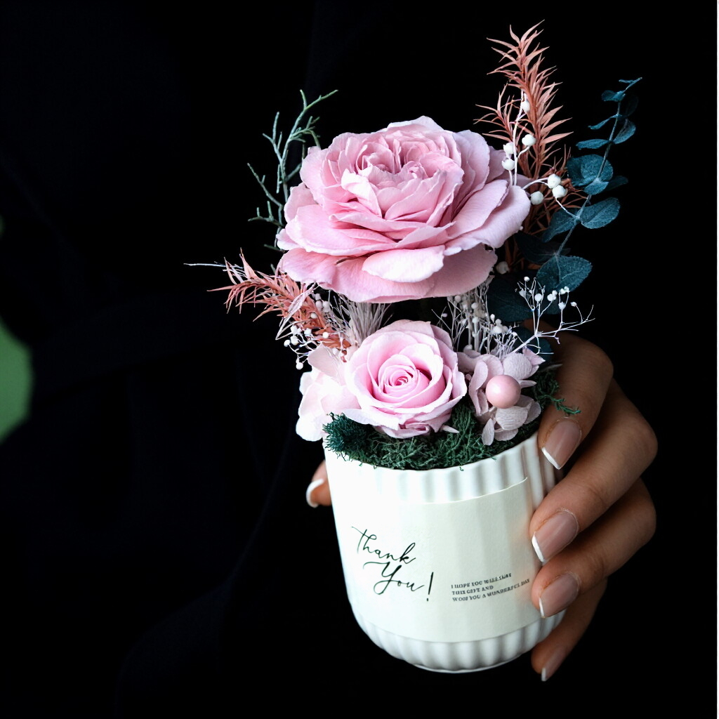 Preserved Austin Rose in Mini Pot - Elegant Desktop Decoration & Gift Idea